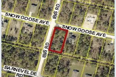 15282 Ibis Road, Brooksville, FL 34614 - Photo 1