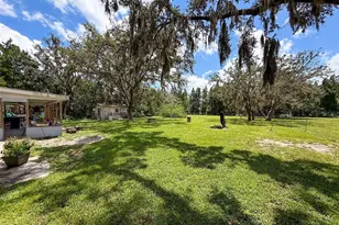 15438/15440 Azra Dr, Odessa, FL 33556 - Photo 9