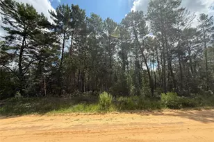 David Ave, Interlachen, FL 32148 - Photo 1