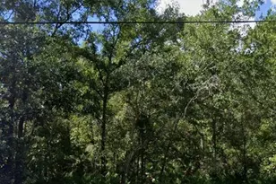 Atlee St, New Port Richey, FL 34654 - Photo 1