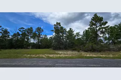 2899 W Santana Drive, Citrus Springs, FL 34433 - Photo 3