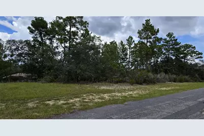 2899 W Santana Drive, Citrus Springs, FL 34433 - Photo 1