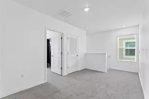 17037 Blister Wing Dr, Wimauma, FL 33598 - Photo 29