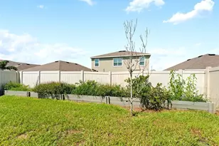 17037 Blister Wing Dr, Wimauma, FL 33598 - Photo 33