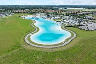 17037 Blister Wing Dr, Wimauma, FL 33598 - Photo 39