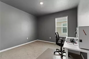 17037 Blister Wing Dr, Wimauma, FL 33598 - Photo 25