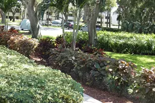 36750 US Hwy 19 N, Palm Harbor, FL 34684 - Photo 31