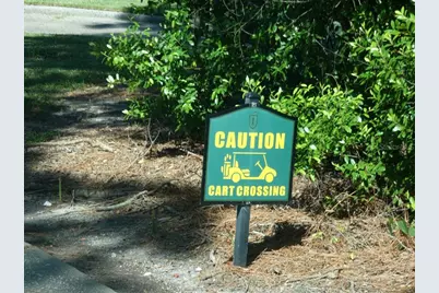 36750 US Highway 19 N #20-305, Palm Harbor, FL 34684 - Photo 11