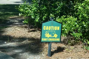 36750 US Hwy 19 N, Palm Harbor, FL 34684 - Photo 11