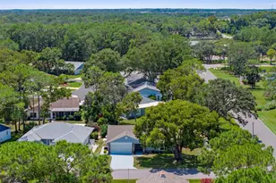 2509 Westchester Blvd, Spring Hill, FL 34606 - Photo 29