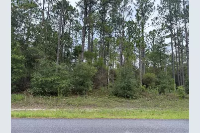 1675 W Donner Drive, Citrus Springs, FL 34434 - Photo 1