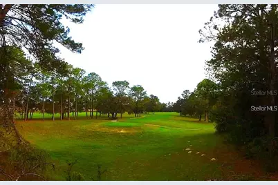 17 Woodlee Court S, Homosassa, FL 34446 - Photo 9