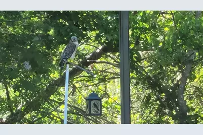 27167 Popiel Road, Brooksville, FL 34602 - Photo 61