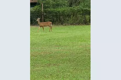 27167 Popiel Road, Brooksville, FL 34602 - Photo 49
