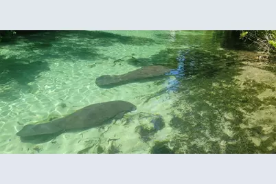 27167 Popiel Road, Brooksville, FL 34602 - Photo 57