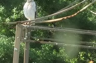 27167 Popiel Rd, Brooksville, FL 34602 - Photo 55