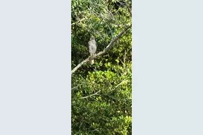 27167 Popiel Road, Brooksville, FL 34602 - Photo 51