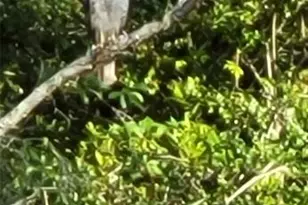 27167 Popiel Rd, Brooksville, FL 34602 - Photo 51