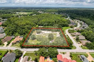 15438/15440 Azra Dr, Odessa, FL 33556 - Photo 1