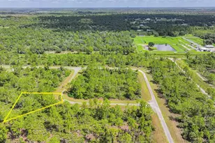 309 Nagle Ct, Lehigh Acres, FL 33972 - Photo 1