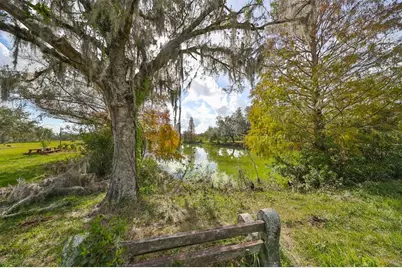 15624 Carlton Lake Road, Wimauma, FL 33598 - Photo 7