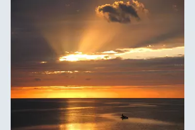 Lots 8-11 Indian Gulf Lane, Spring Hill, FL 34607 - Photo 5