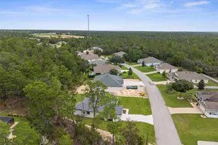 3 Lupine St, Homosassa, FL 34446 - Photo 41