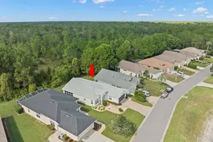 10163 Holly Berry Dr, Weeki Wachee, FL 34613 - Photo 51