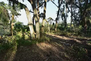 7610 Anna Ave, Gibsonton, FL 33534 - Photo 43