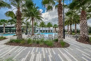 2554 Claymore St, Odessa, FL 33556 - Photo 65