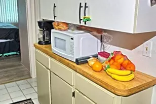 20893 Haulover Cove, Lutz, FL 33558 - Photo 15