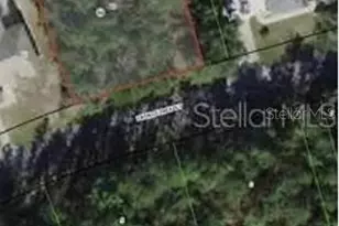 38 Fringetree St, Homosassa, FL 34446 - Photo 1