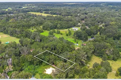 15290 NW 46th Avenue, Reddick, FL 32686 - Photo 3