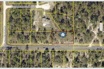 12121 Thrasher Avenue, Weeki Wachee, FL 34614 - Photo 1