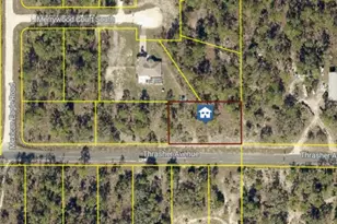 12121 Thrasher Ave, Weeki Wachee, FL 34614 - Photo 1