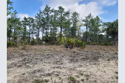 12121 Thrasher Avenue, Weeki Wachee, FL 34614 - Photo 3