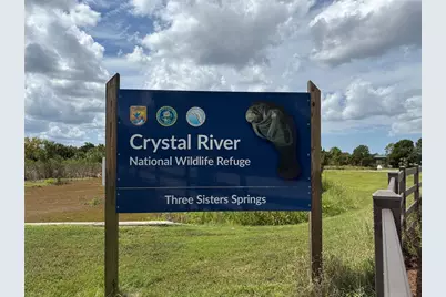 9339 N Milam Way, Citrus Springs, FL 34434 - Photo 11