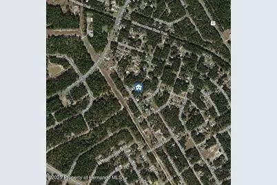 9996 N Sandree Drive, Citrus Springs, FL 34434 - Photo 3