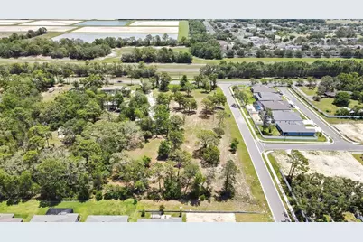 1087 Anderson Snow Road, Spring Hill, FL 34609 - Photo 5