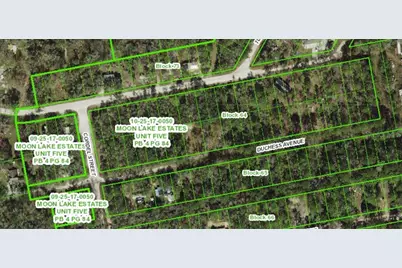 13027 Duchess Avenue, New Port Richey, FL 34654 - Photo 1