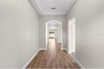 11933 Cinnamon Fern Drive, Riverview, FL 33579 - Photo 9