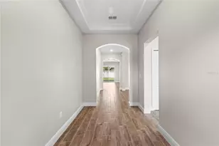 11933 Cinnamon Fern Dr, Riverview, FL 33579 - Photo 9