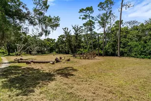 20125 Green Grass Ln, Lutz, FL 33558 - Photo 45