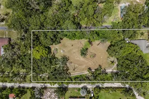 20125 Green Grass Ln, Lutz, FL 33558 - Photo 7