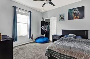 10435 Deerberry Dr, Land O Lakes, FL 34638 - Photo 25