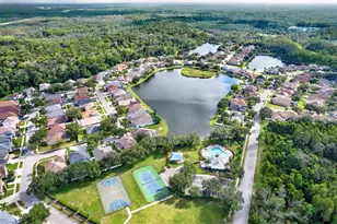 10435 Deerberry Dr, Land O Lakes, FL 34638 - Photo 53