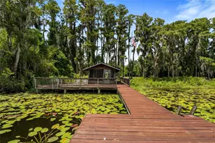 20105 Green Grass Ln, Lutz, FL 33558 - Photo 77