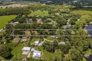 20105 Green Grass Ln, Lutz, FL 33558 - Photo 29