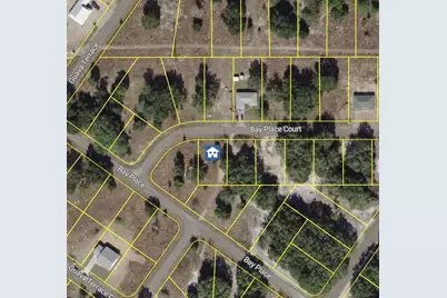 Bay Place Court, Ocklawaha, FL 32179 - Photo 3