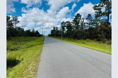 13198 Barnevelde Road, Brooksville, FL 34614 - Photo 5